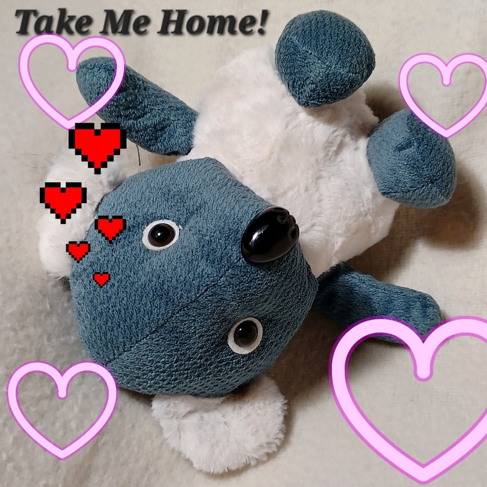 🍎Koala Bear Plushie Stuffed Animal